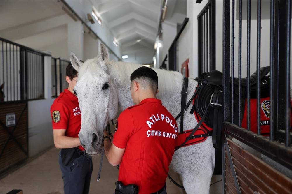 Konya'da atlı polislere 4 ay özel eğitim veriliyor! Sevgi şartı var 9